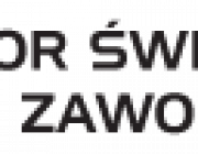 mentor swiadomej nauki zawodu