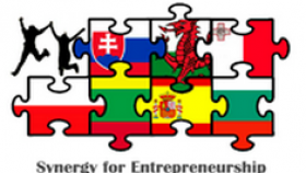 synergy for entreoreneurship