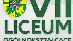 vii lo zg